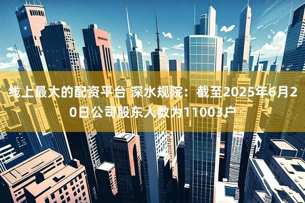 线上最大的配资平台 深水规院：截至2025年6月20日公司股东人数为11003户
