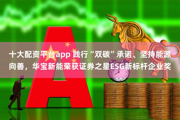 十大配资平台app 践行“双碳”承诺、坚持能源向善，华宝新能荣获证券之星ESG新标杆企业奖