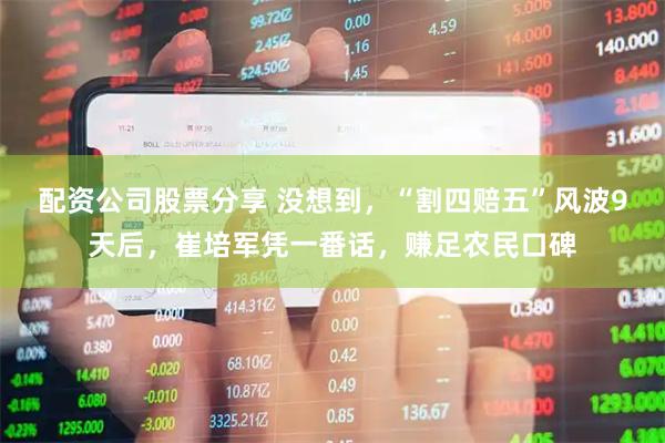 配资公司股票分享 没想到，“割四赔五”风波9天后，崔培军凭一番话，赚足农民口碑
